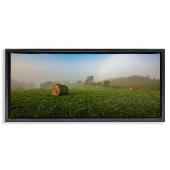 Stupell Industries Hay Bales Country Horizon Landscape & Nature Photography Black Floater Framed Canvas Art Print Wall Art, 25 x 11