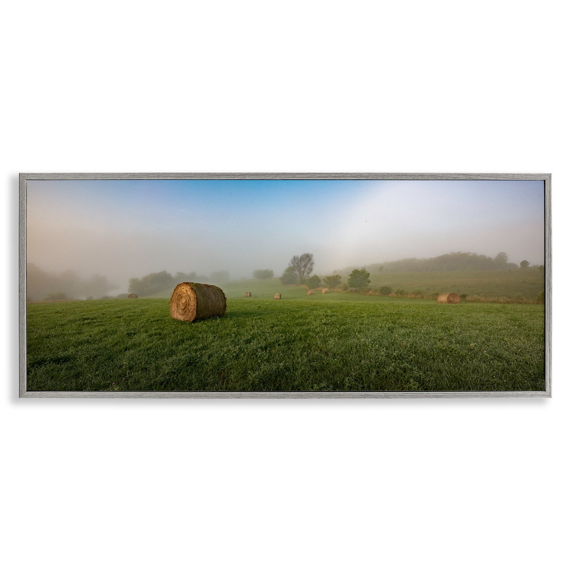 Stupell Industries Hay Bales Country Horizon Landscape & Nature Photography Gray Framed Art Print Wall Art, 24 x 10