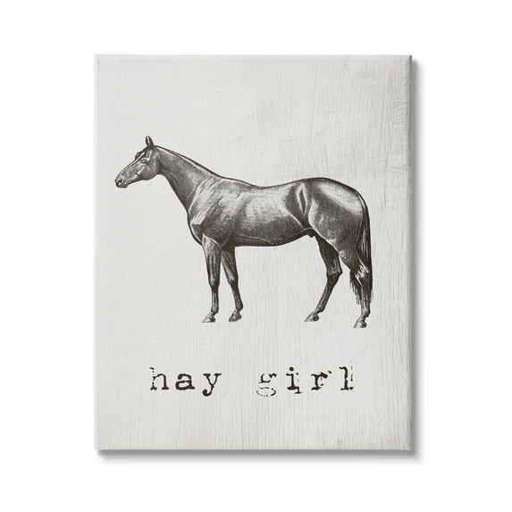 Stupell Industries Hay Girl Funny Horse Pun Vintage Equestrian Portrait, 24 x 30,Design by Daphne Polselli