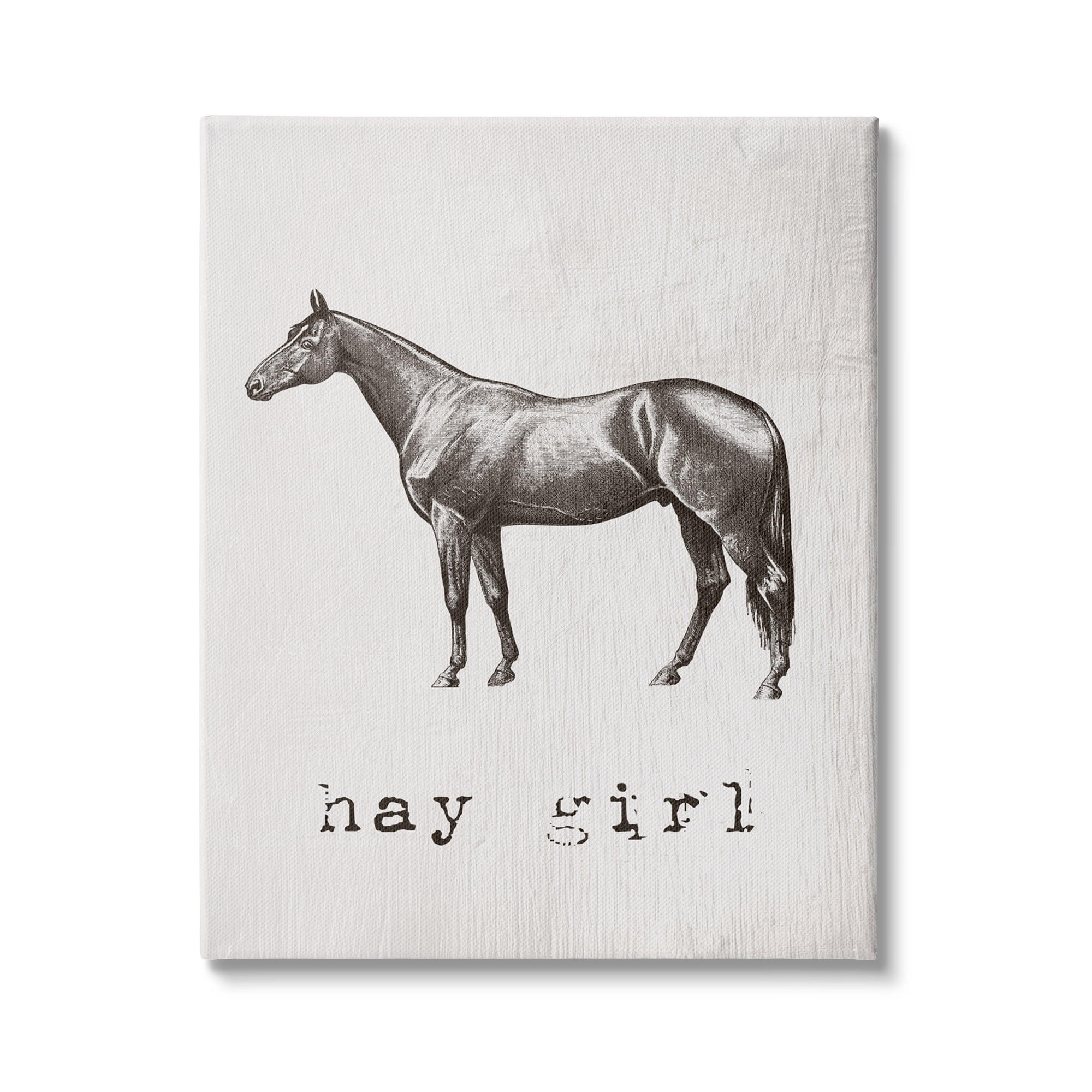 Stupell Industries Hay Girl Funny Horse Pun Vintage Equestrian Portrait Graphic Art Gallery-Wrapped Canvas Print Wall Art, 16x20, by Daphne Polselli
