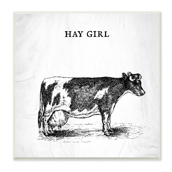 Stupell Industries Hay Girl Funny Phrase Farmhouse Dairy Cow Pun, 12 x 12,Design by Daphne Polselli