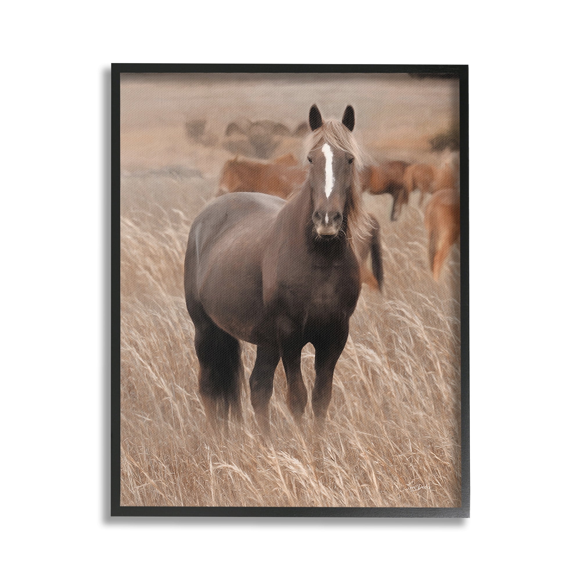 Stupell Industries Hazy Day Horse Animals & Insects Photography Black Framed Art Print Wall Art, 24 x 30