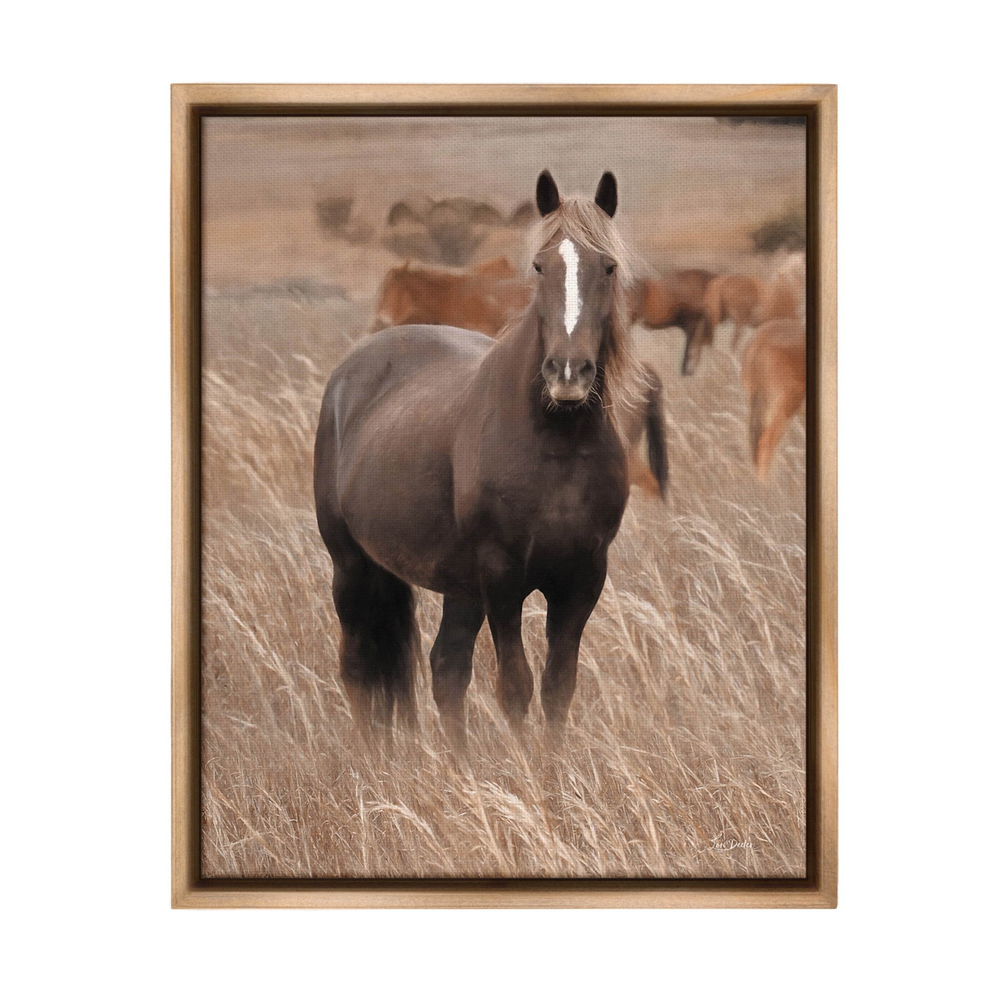 Stupell Industries Hazy Day Horse Animals & Insects Photography Brown Floater Framed Canvas Art Print Wall Art, 25 x 31
