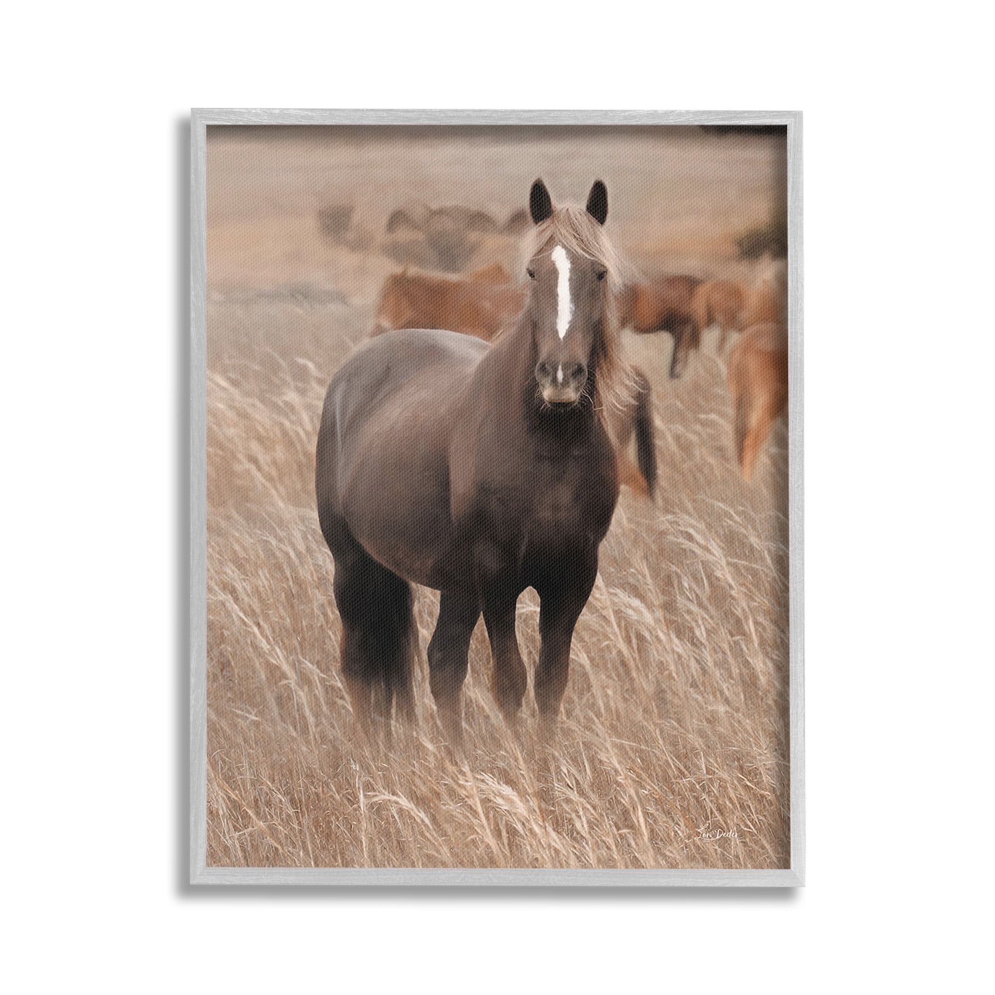 Stupell Industries Hazy Day Horse Animals & Insects Photography Gray Framed Art Print Wall Art, 16 x 20