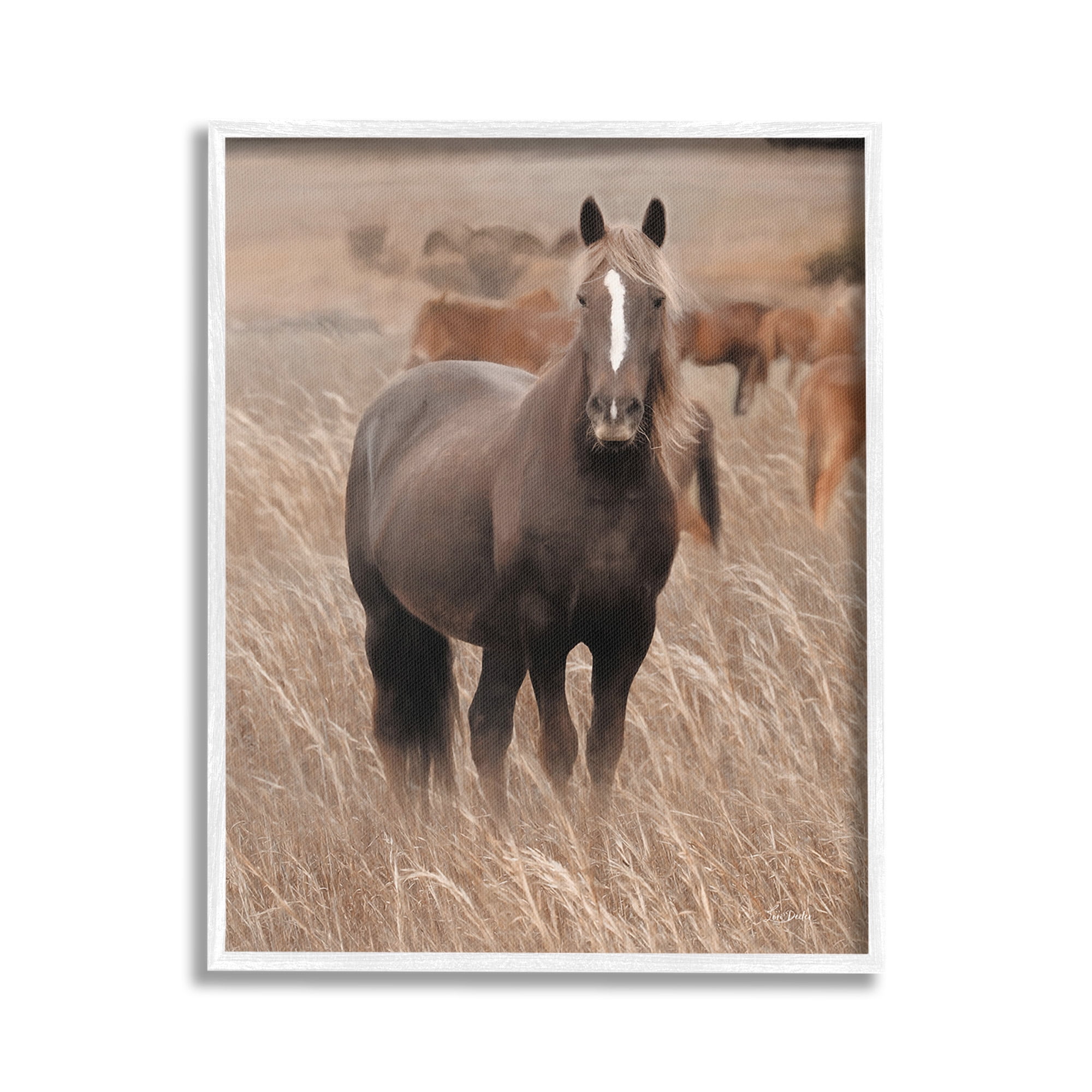 Stupell Industries Hazy Day Horse Animals & Insects Photography White Framed Art Print Wall Art, 16 x 20