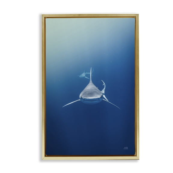 Stupell Industries Heads Up Shark Animals Photography Gold Floater Framed Canvas Art Print Wall Art, 17 x 25