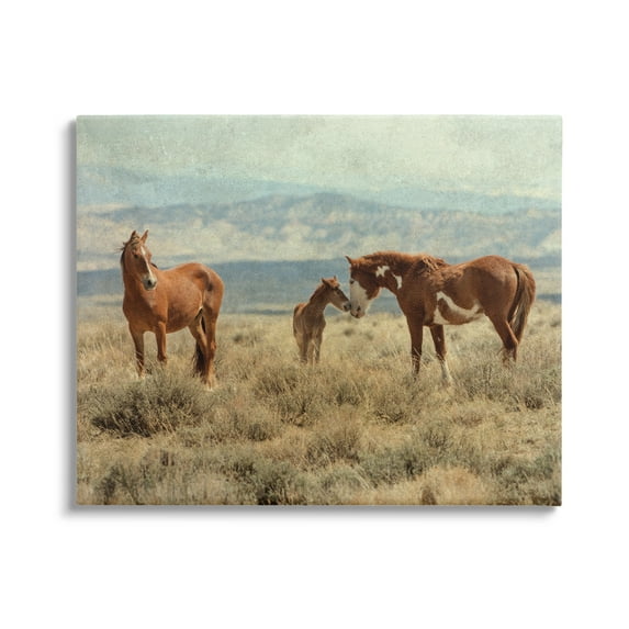 Stupell Industries Heartening Horse Foal Family Scenic Mountain Clouds Photograph Gallery Wrapped Canvas Print Wall Art, Design by Jan Walters