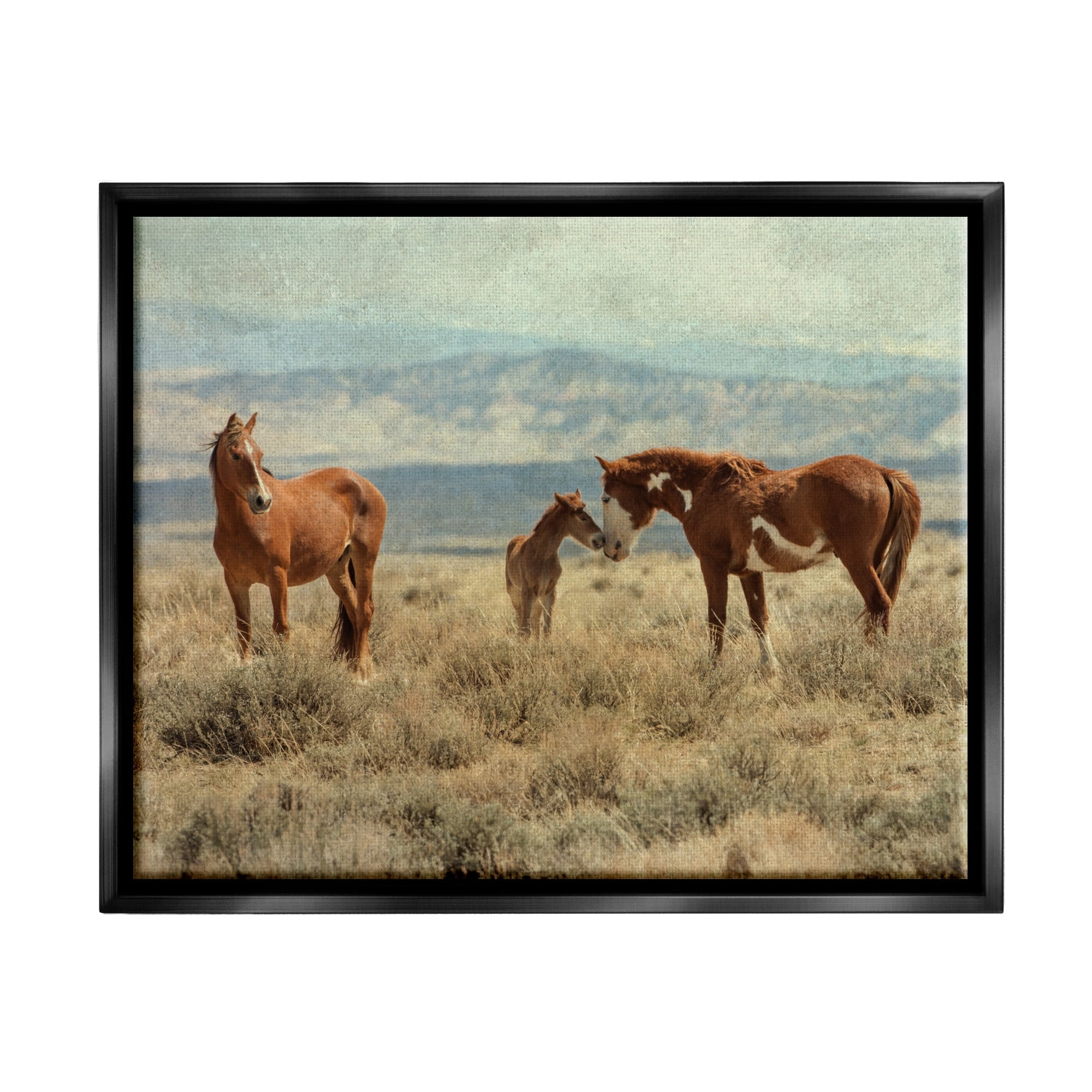 Stupell Industries Heartening Horse Foal Family Scenic Mountain Clouds Photograph Jet Black Floating Framed Canvas Print Wall Art, Design by Jan Walters