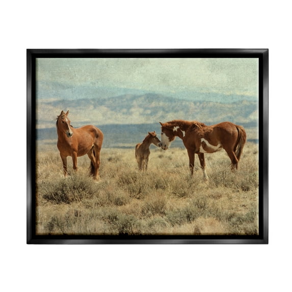 Stupell Industries Heartening Horse Foal Family Scenic Mountain Clouds Photograph Jet Black Floating Framed Canvas Print Wall Art, Design by Jan Walters