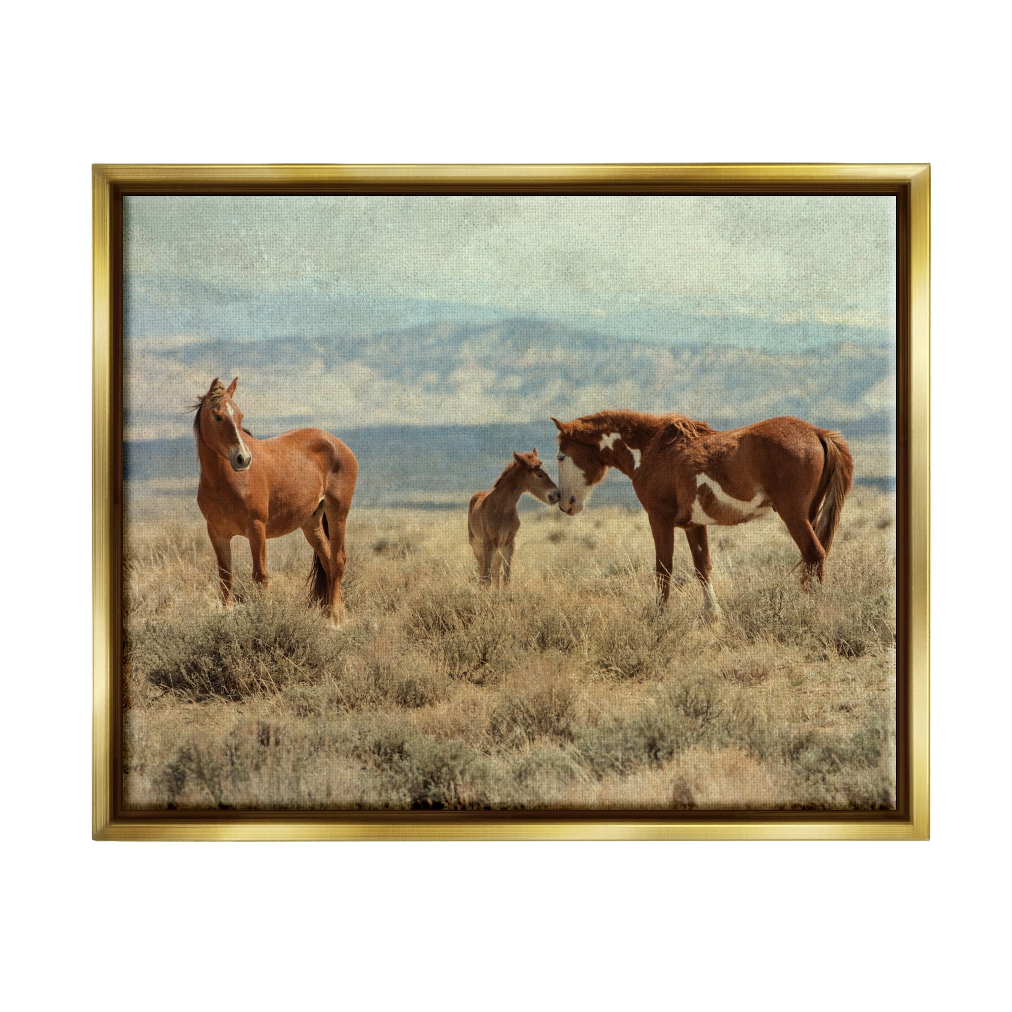 Stupell Industries Heartening Horse Foal Family Scenic Mountain Clouds Photograph Metallic Gold Floating Framed Canvas Print Wall Art, Design by Jan Walters