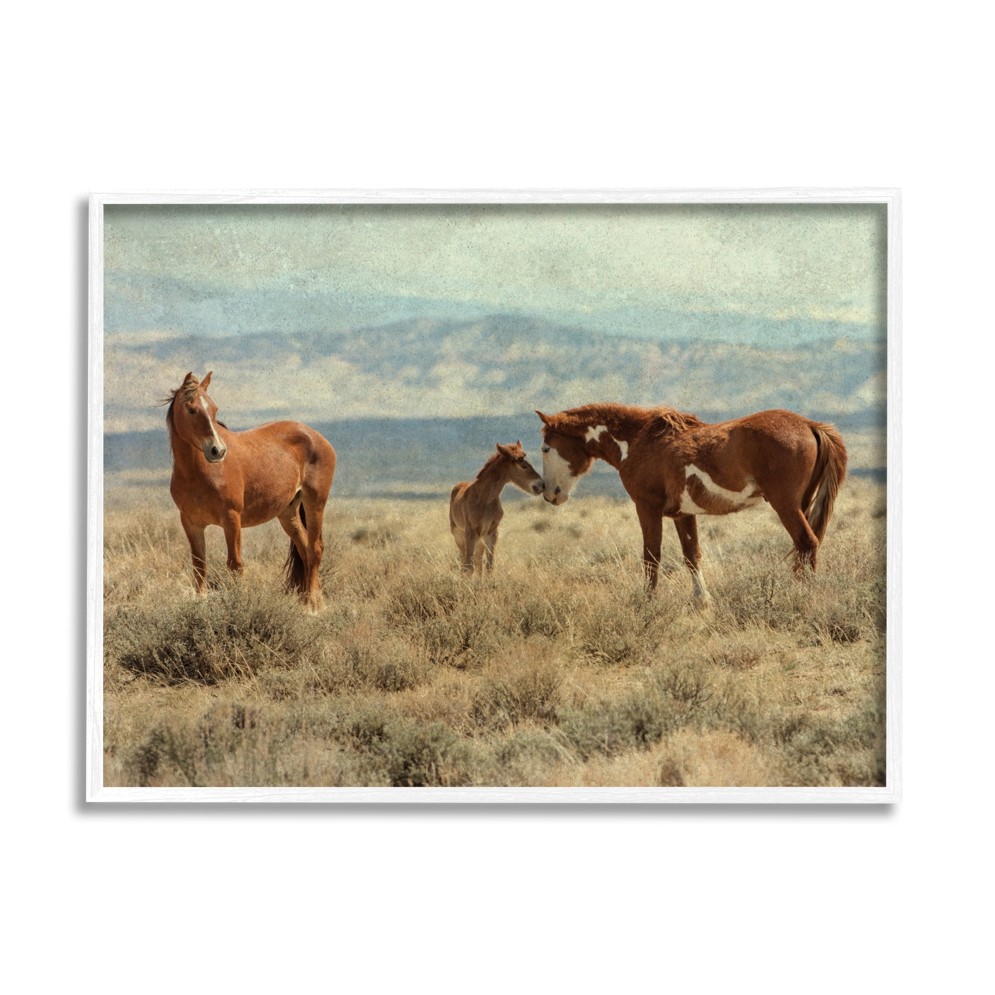 Stupell Industries Heartening Horse Foal Family Scenic Mountain Clouds Photograph White Framed Art Print Wall Art, Design by Jan Walters