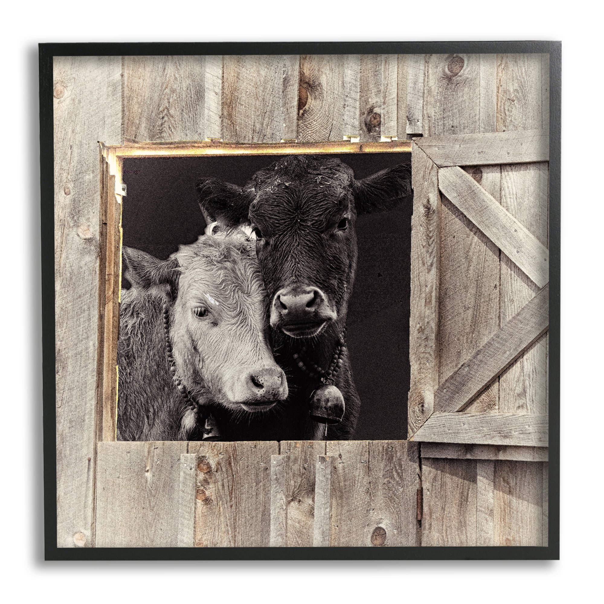 Stupell Industries Heartwarming Farm Cows Nuzzling Through Barn Door Photograph Black Framed Art Print Wall Art, Design by Mindy Sommers