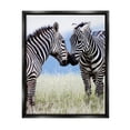 thumbnail image 1 of Stupell Industries Heartwarming Zebras Kissing in Field Animal Wildlife Photograph Jet Black Floating Framed Canvas Print Wall Art, Design by Danita Delimont, 1 of 5