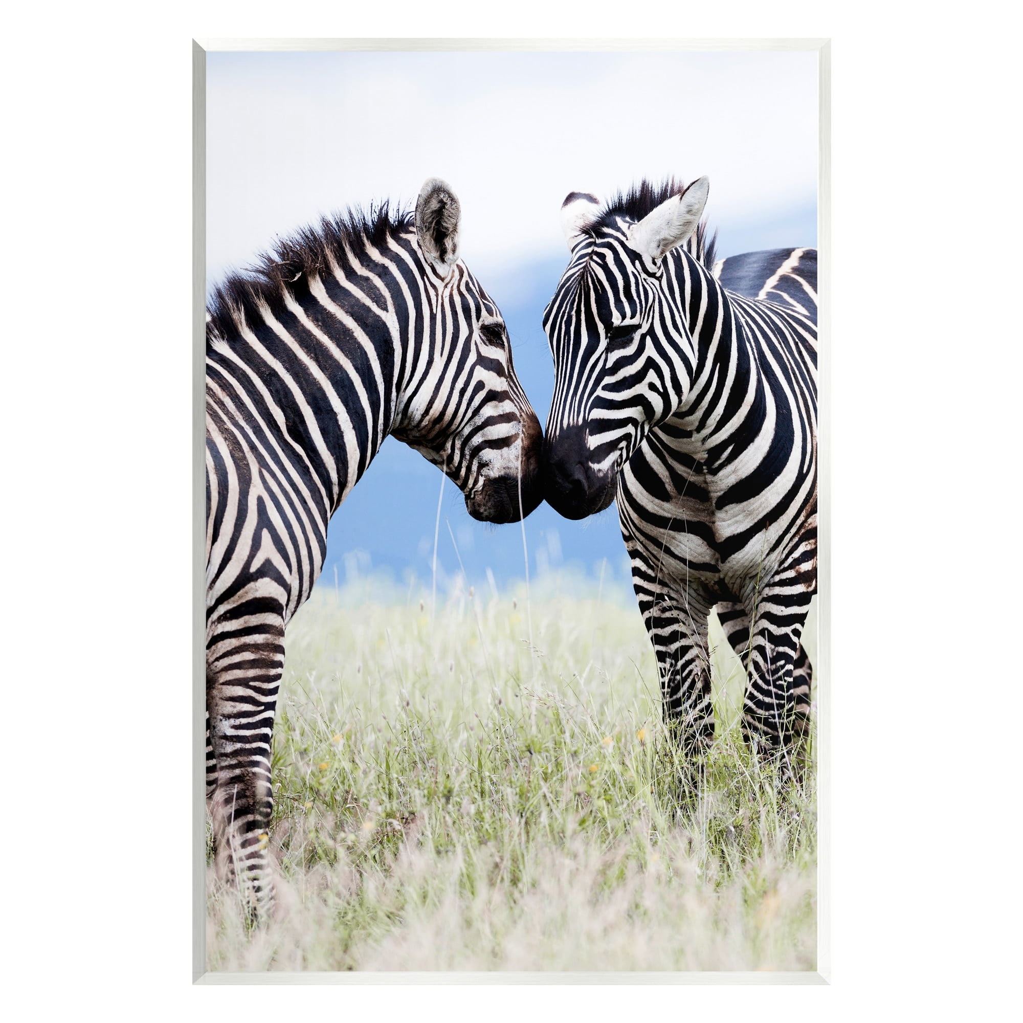 Stupell Industries Heartwarming Zebras Kissing in Field Animal Wildlife Photograph Unframed Art Print Wall Art, Design by Danita Delimont