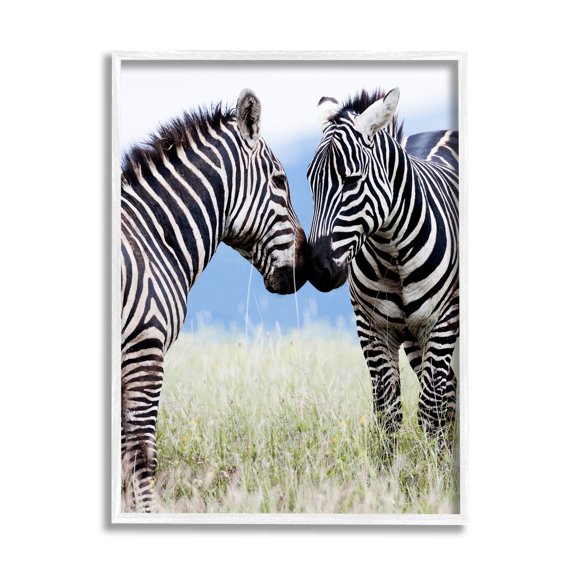 Stupell Industries Heartwarming Zebras Kissing in Field Animal Wildlife Photograph White Framed Art Print Wall Art, Design by Danita Delimont