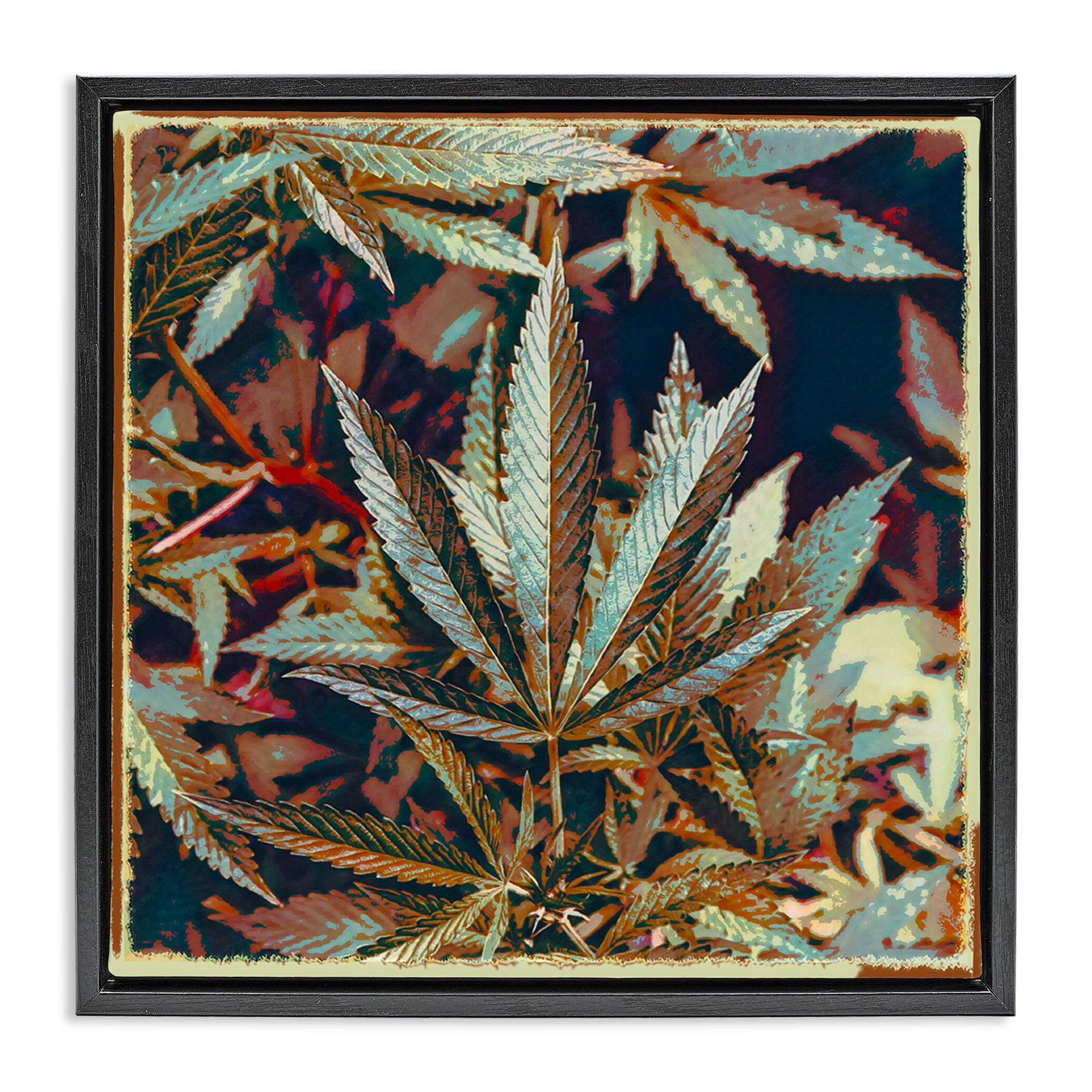 Stupell Industries Heavy Metal Cannabis Plants & Flowers Painting Black Floater Framed Canvas Art Print Wall Art, 25 x 25