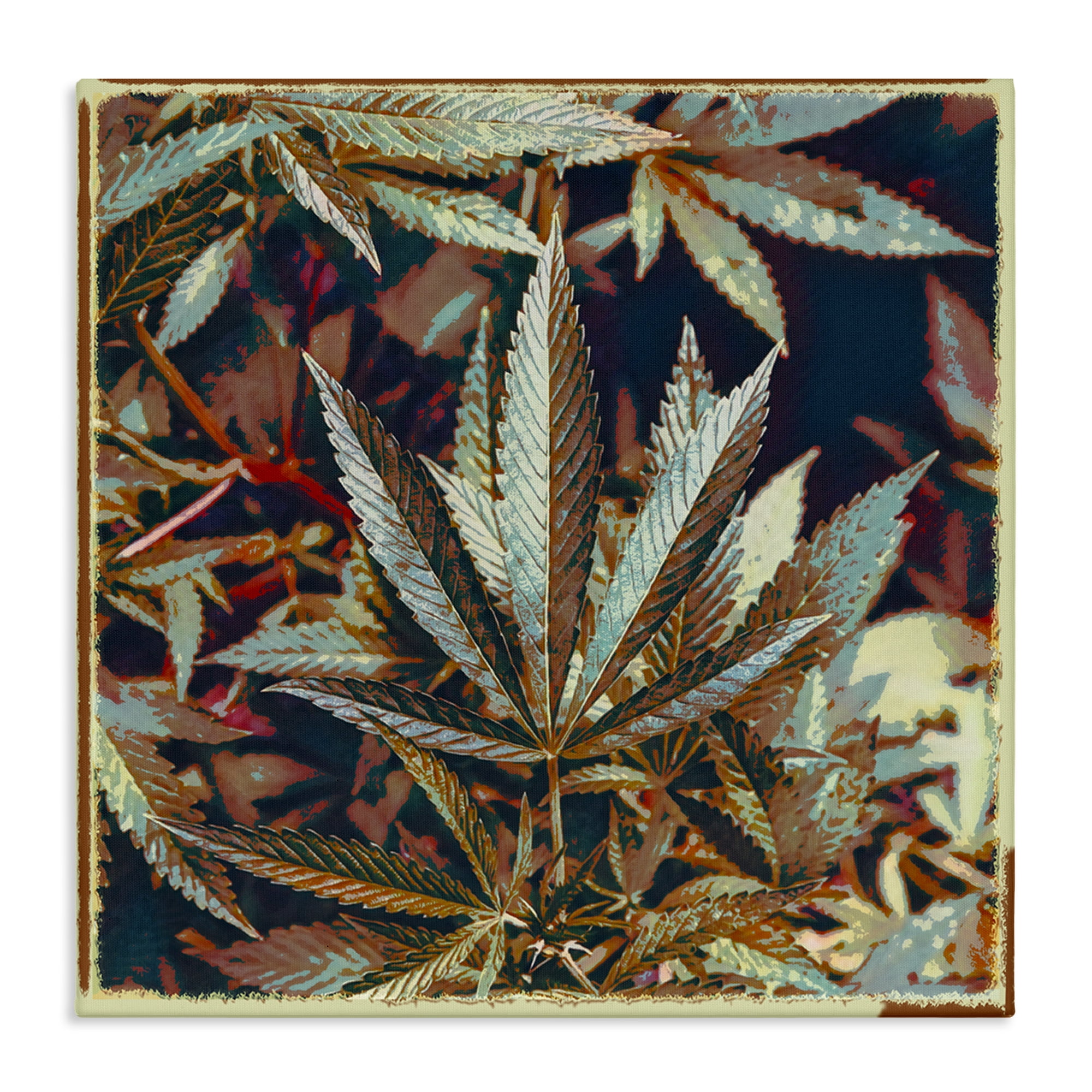Stupell Industries Heavy Metal Cannabis Plants & Flowers Painting Wrapped Canvas Art Print Wall Art, 36 x 36