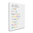 thumbnail image 1 of Stupell Industries Hello Ciao Hola Namaste Greetings Rainbow Typography, 36 x 48, Designed by Elizabeth Tyndall, 1 of 5