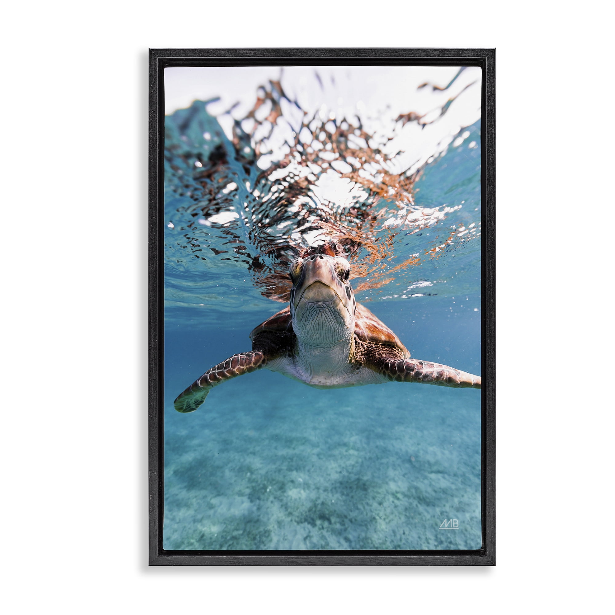 Stupell Industries Hello Sea Turtle Splash Animals Photography Black Floater Framed Canvas Art Print Wall Art, 21 x 31