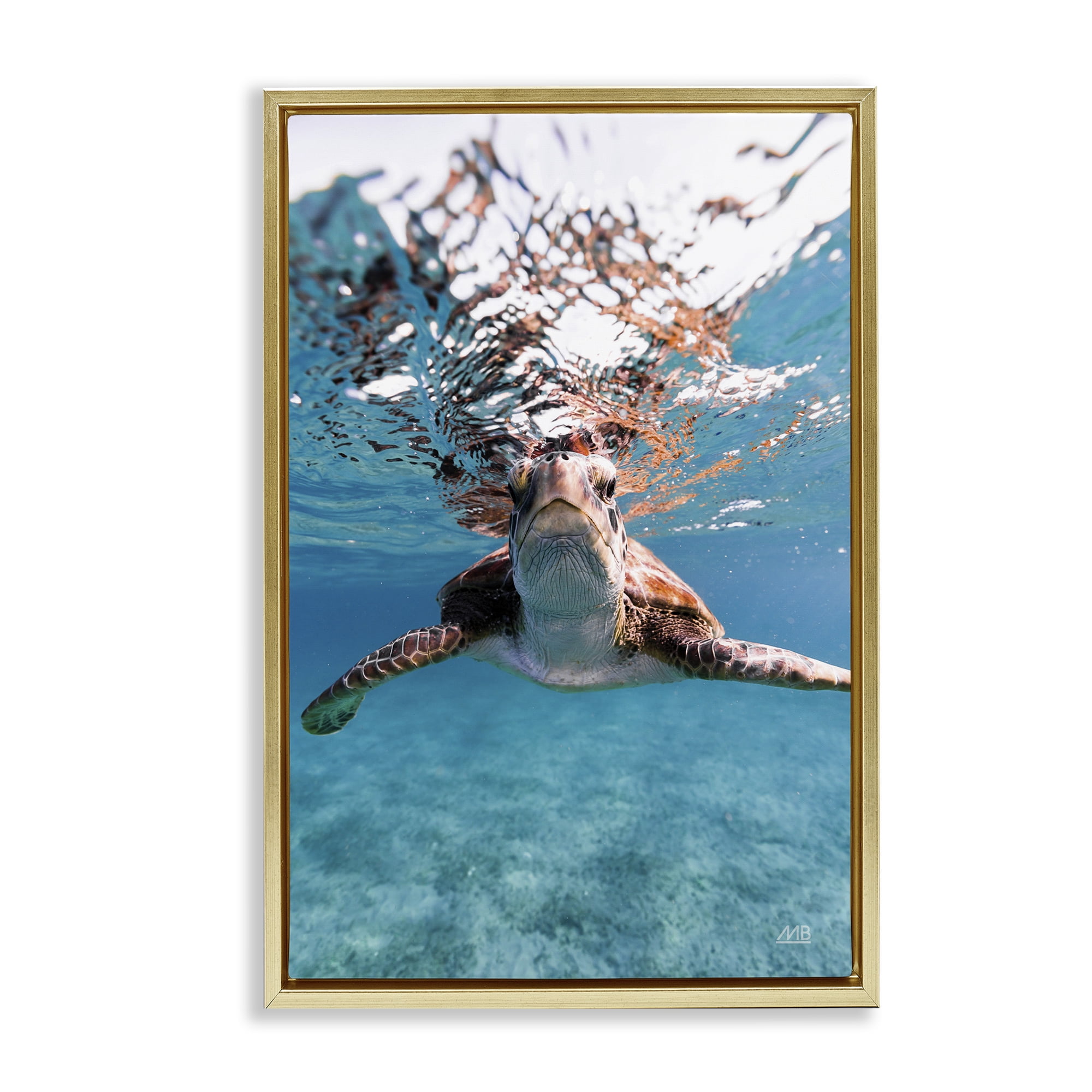 Stupell Industries Hello Sea Turtle Splash Animals Photography Gold Floater Framed Canvas Art Print Wall Art, 17 x 25