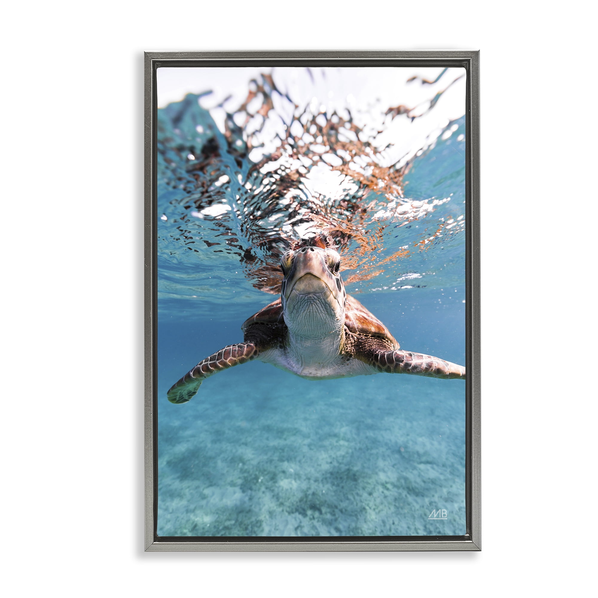 Stupell Industries Hello Sea Turtle Splash Animals Photography Gray Floater Framed Canvas Art Print Wall Art, 21 x 31