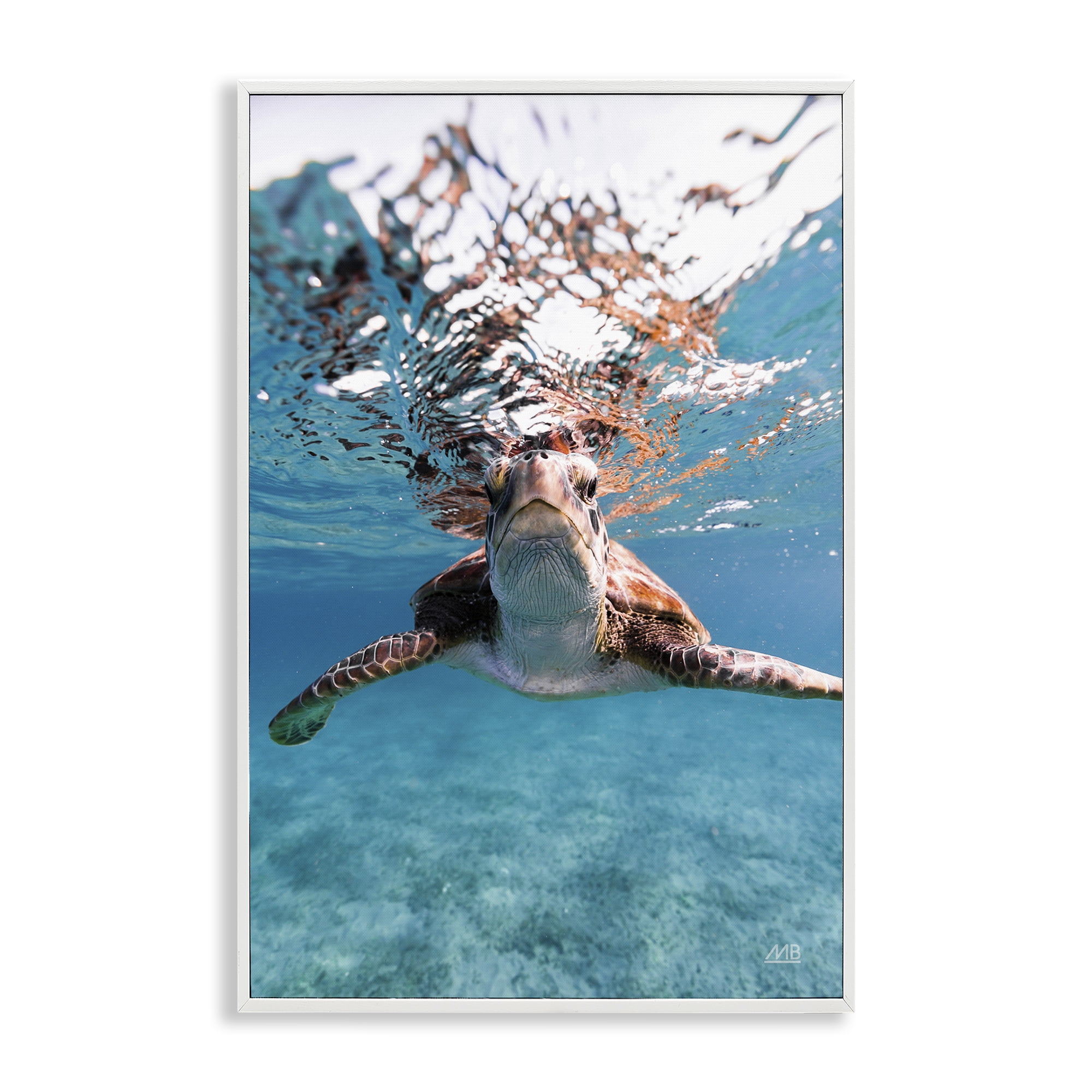 Stupell Industries Hello Sea Turtle Splash Animals Photography White Framed Art Print Wall Art, 20 x 30