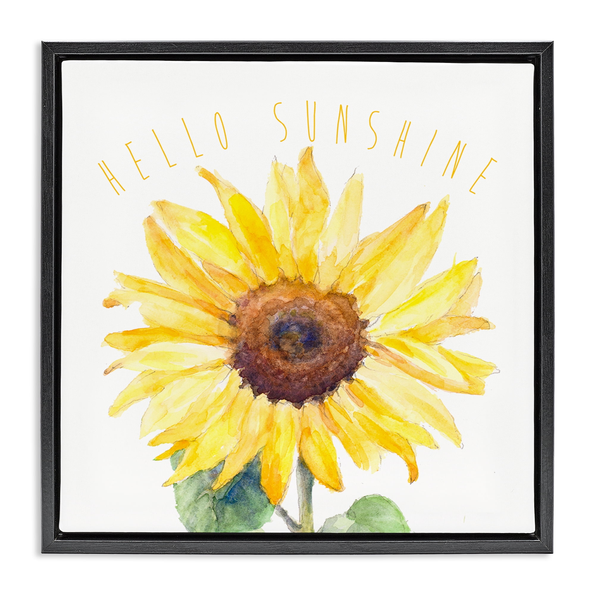 Stupell Industries Hello Sunshine Bloom Plants & Flowers Painting Black Floater Framed Canvas Art Print Wall Art, 25 x 25