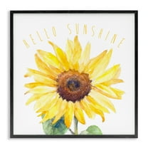 Stupell Industries Hello Sunshine Bloom Plants & Flowers Painting Black Framed Art Print Wall Art, 12 x 12