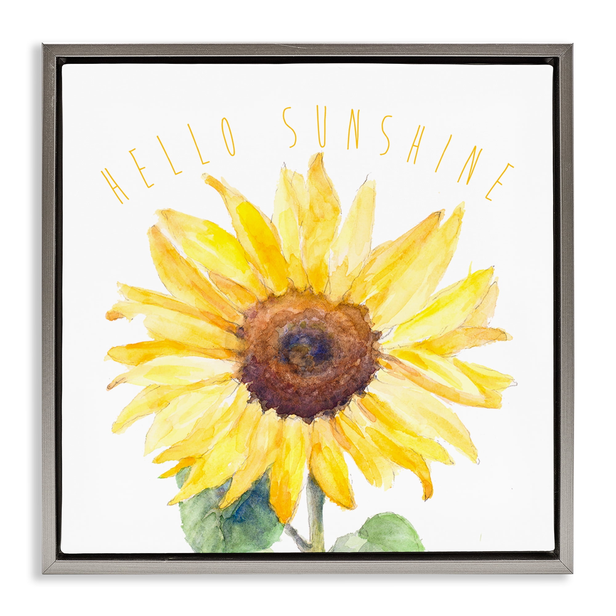 Stupell Industries Hello Sunshine Bloom Plants & Flowers Painting Gray Floater Framed Canvas Art Print Wall Art, 25 x 25