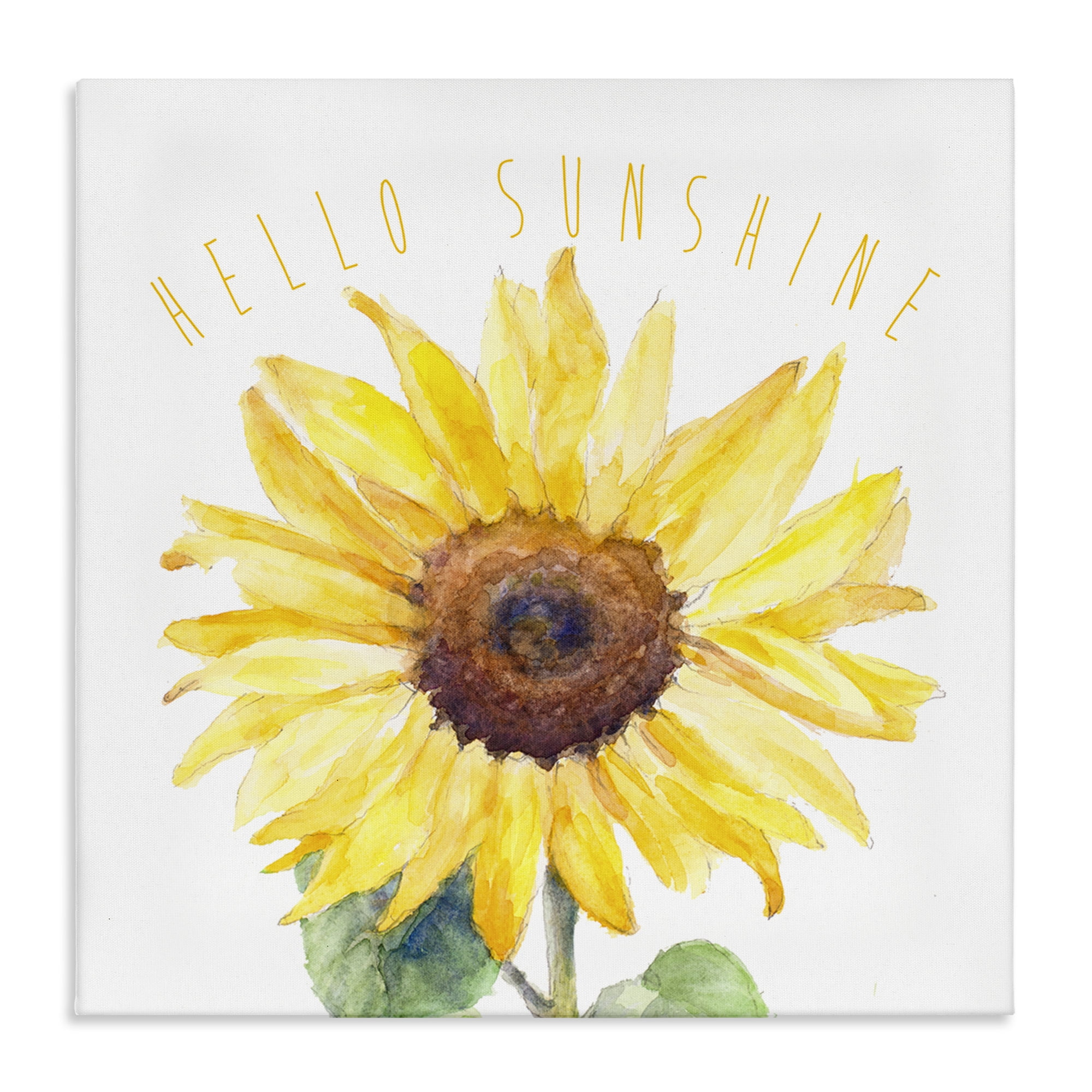 Stupell Industries Hello Sunshine Bloom Plants & Flowers Painting Wrapped Canvas Art Print Wall Art, 24 x 24