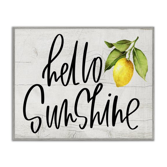 Stupell Industries Rustic Lodge Hello Sunshine Expression Soft Country Lemon Branch Gray Framed Giclee Art, 20 x 16, by Valerie Wieners