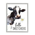 thumbnail image 1 of Stupell Industries Hello Sweet Cheeks Country Cow Cattle Holding Flower Graphic Art Gray Framed Art Print Wall Art, Design by Lettered and Lined, 1 of 7