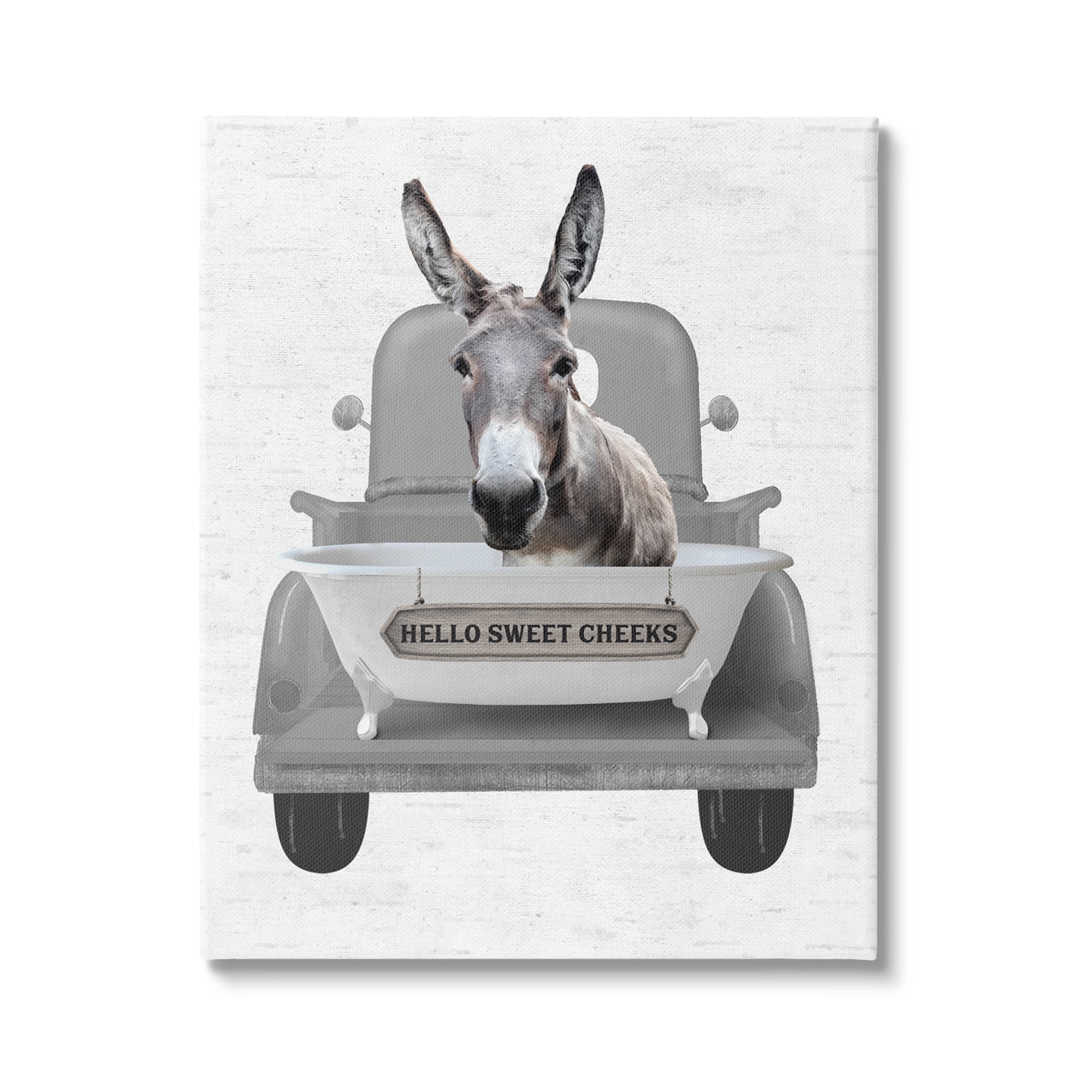 Stupell Industries Hello Sweet Cheeks Donkey Animals & Insects Painting Gallery Wrapped Canvas Print Wall Art, 24 x 30
