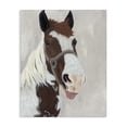 thumbnail image 1 of Stupell Industries Rustic Lodge Henry Horse Funny Tongue Canvas Art, 30 x 40, by Ashley Justice, 1 of 8