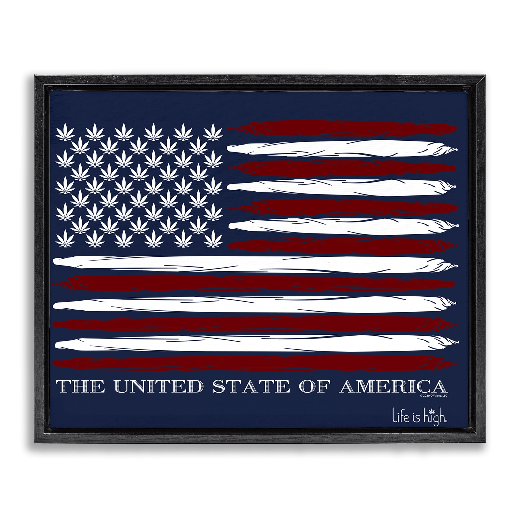 Stupell Industries Herb America Flag Novelty & Humor Painting Black Floater Framed Canvas Art Print Wall Art, 21 x 17