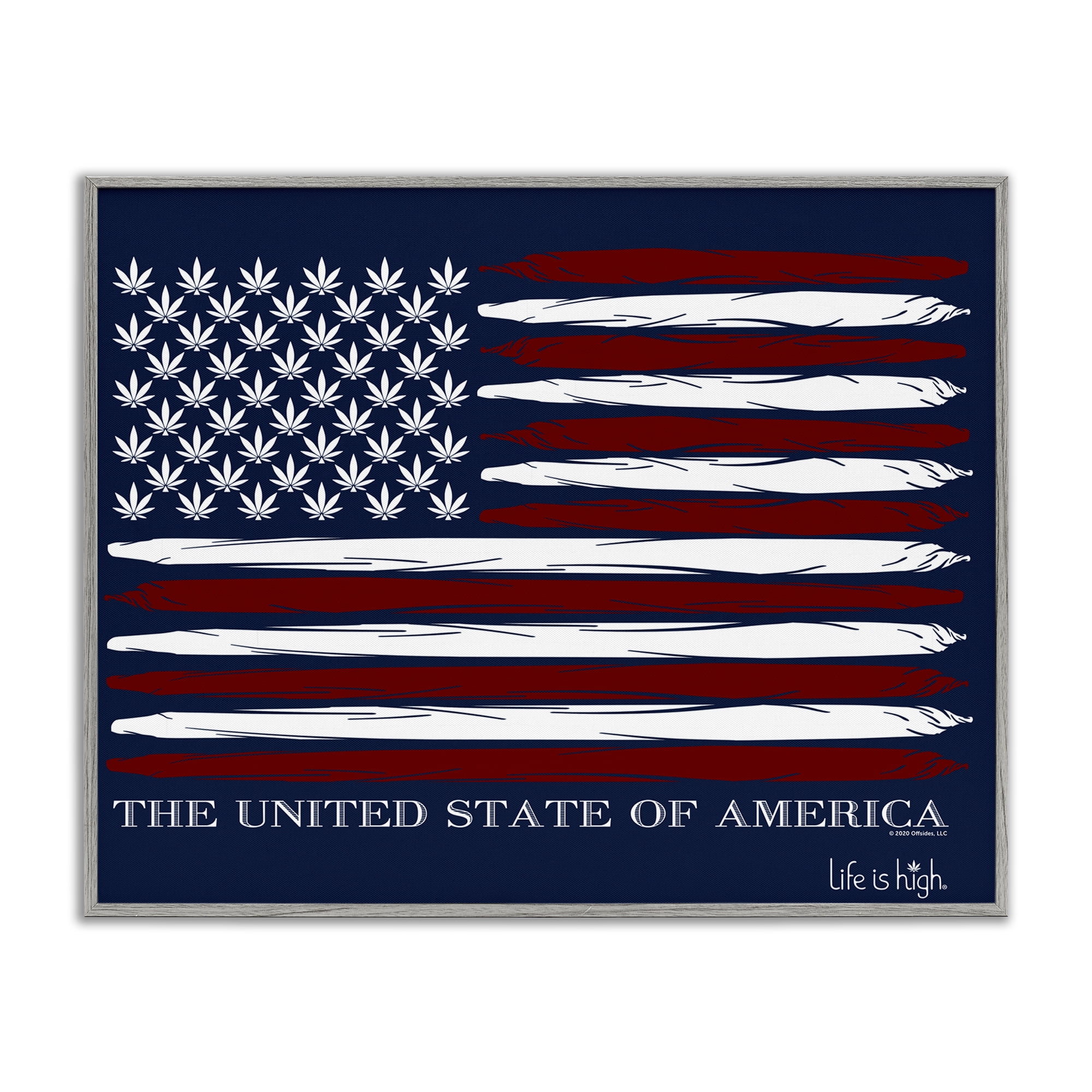 Stupell Industries Herb America Flag Novelty & Humor Painting Gray Framed Art Print Wall Art, 20 x 16