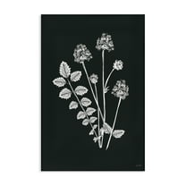 Stupell Industries Herb Bunches Impression Botanical & Floral Painting Gallery Wrapped Canvas Art Print Wall Art, 16 x 24