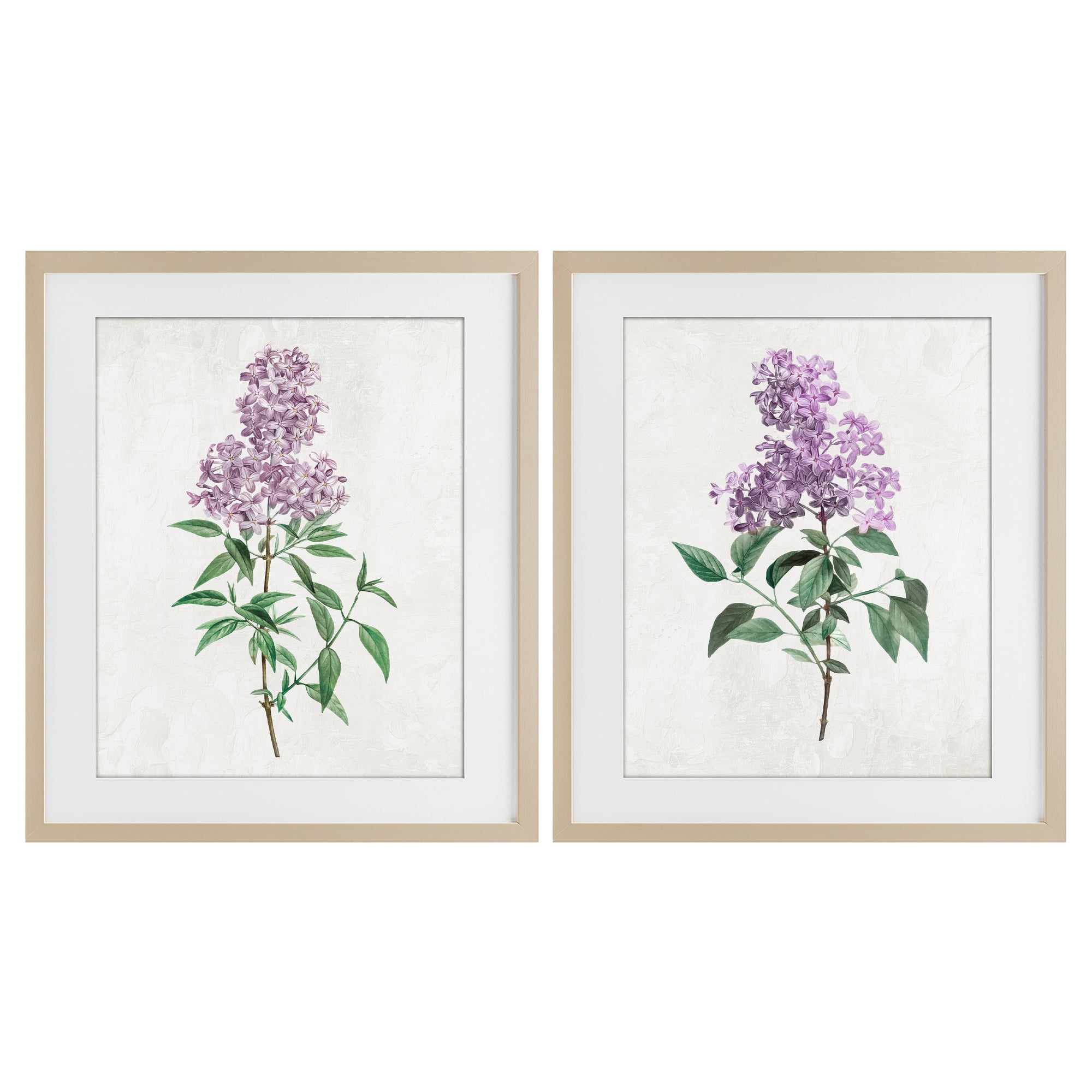 Stupell Industries Herbaceous Lilac Blooms 2 Piece Birch Framed Print Under Glass Set, design by Kim Allen