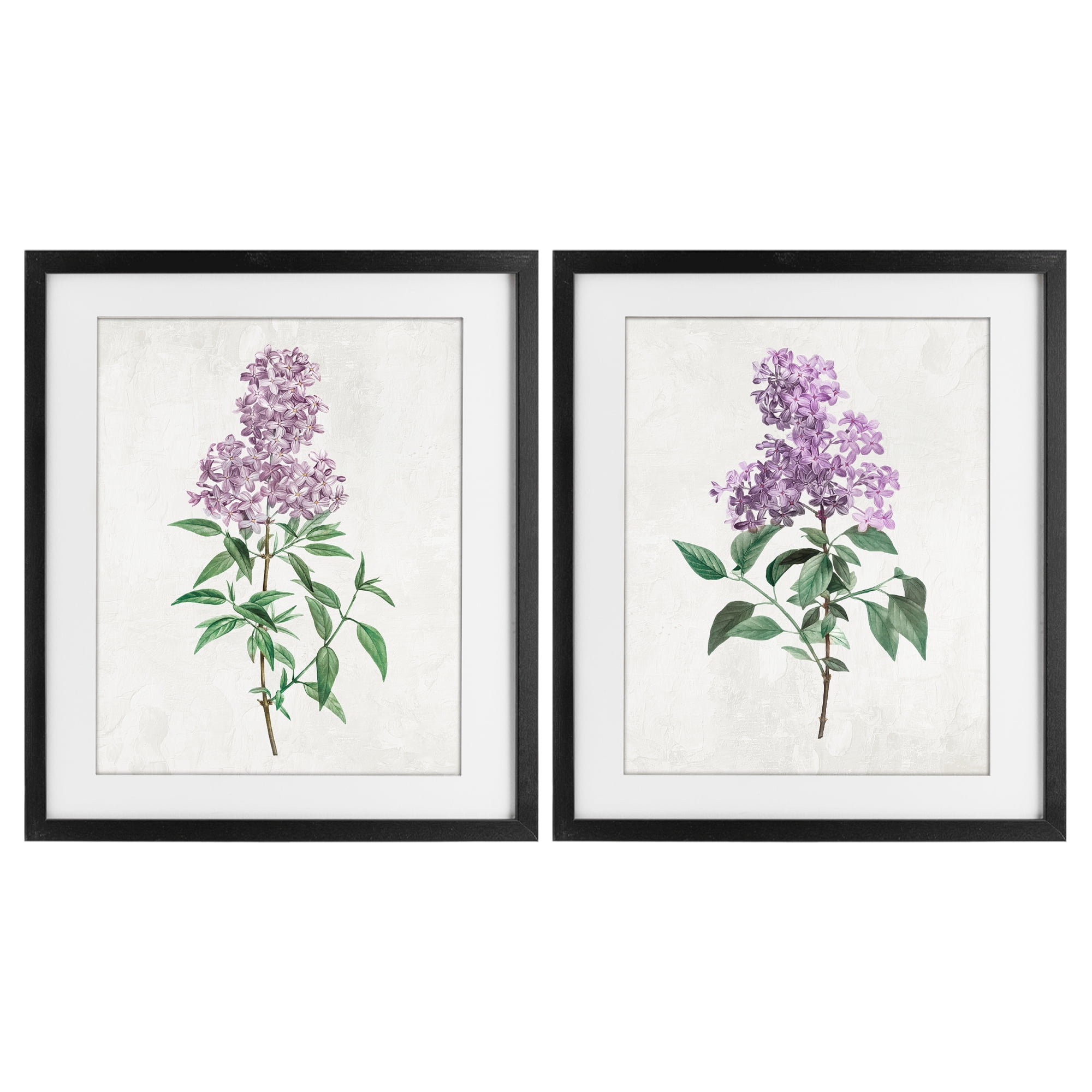 Stupell Industries Herbaceous Lilac Blooms 2 Piece Black Framed Print Under Glass Set, design by Kim Allen