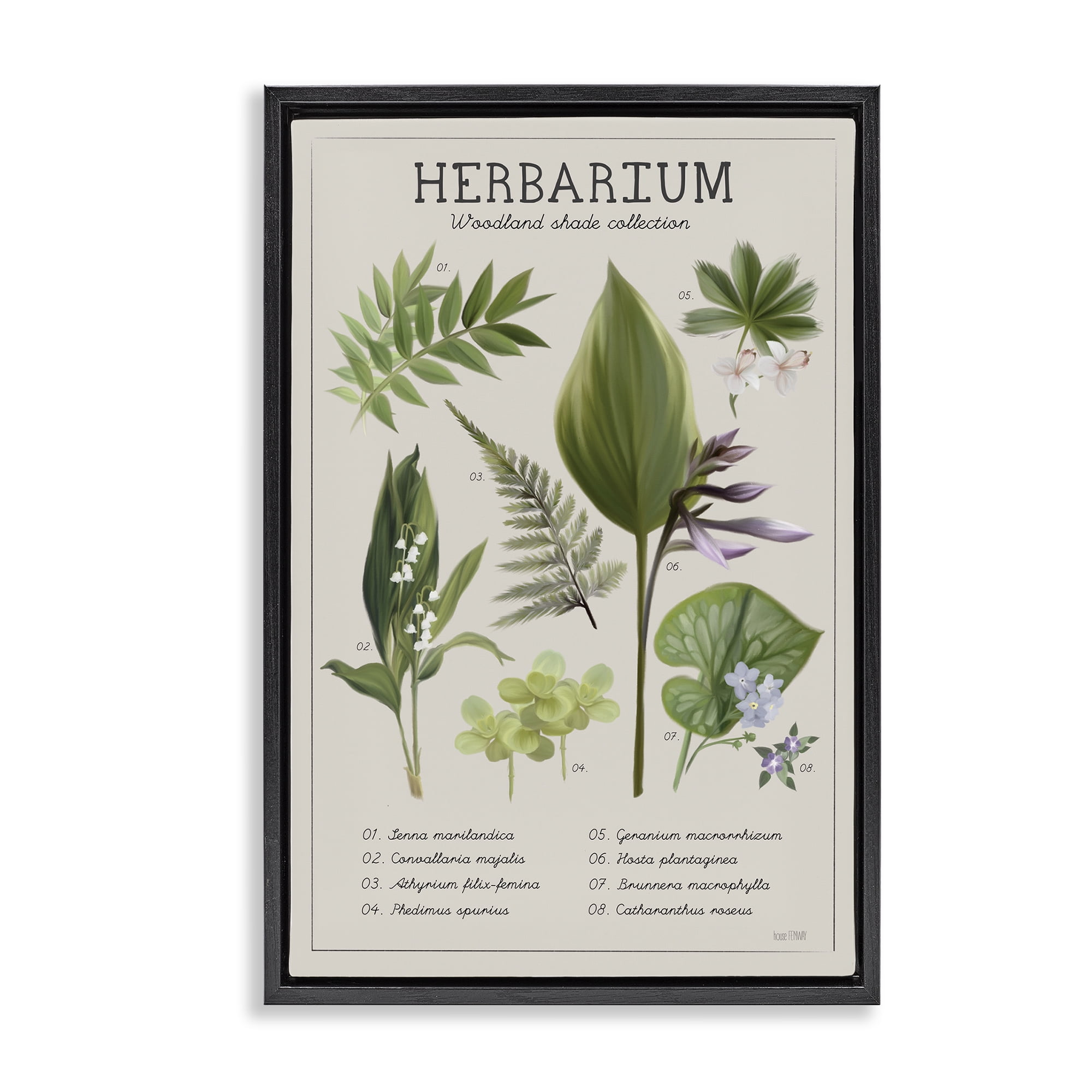 Stupell Industries Herbarium Woodland Shade Collection Black Framed Floater Canvas Wall Art, design by House Fenway
