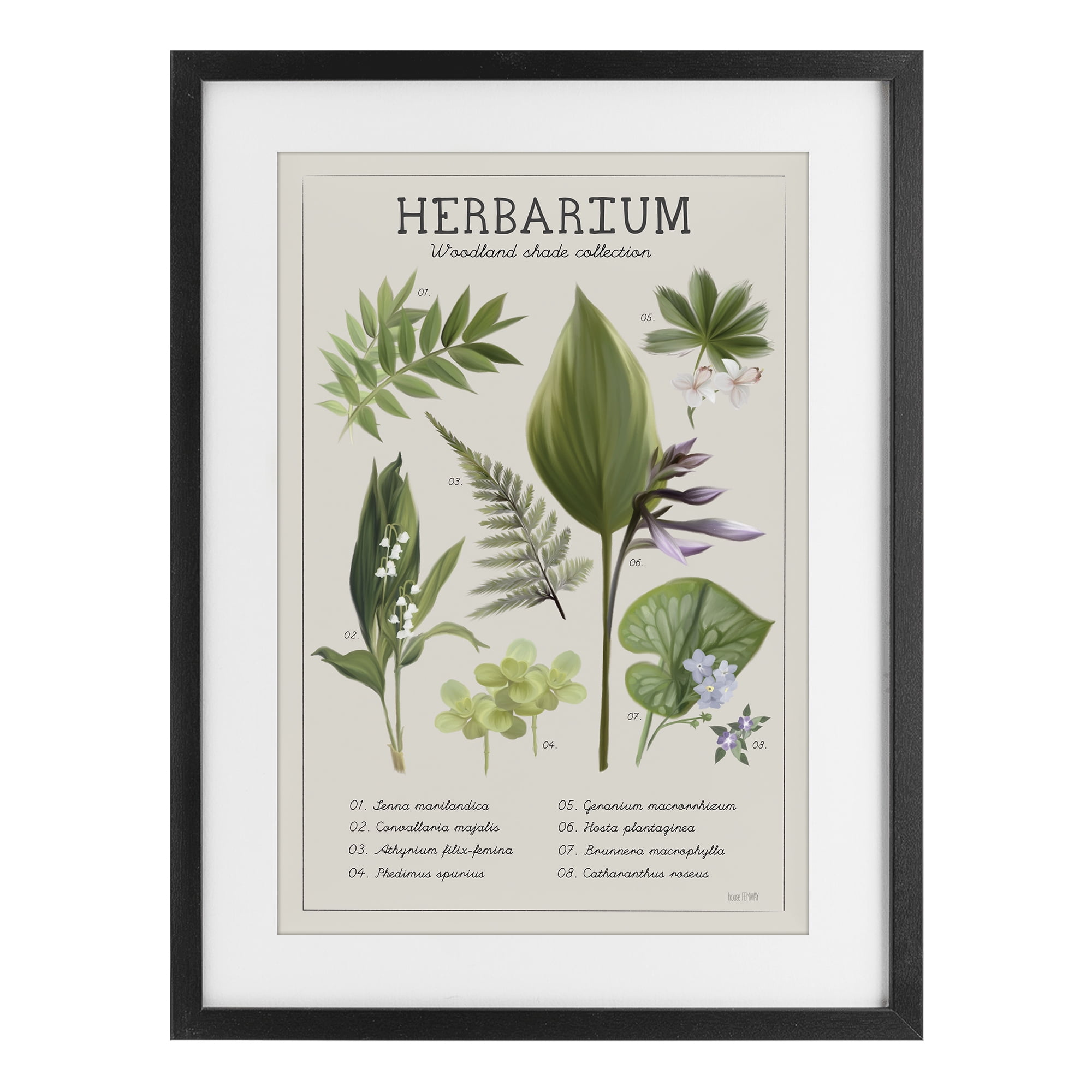 Stupell Industries Herbarium Woodland Shade Collection Black Framed Print Under Glass, design by House Fenway