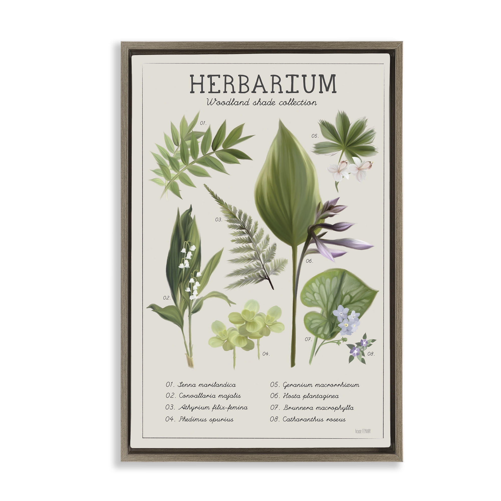 Stupell Industries Herbarium Woodland Shade Collection Brown Framed Floater Canvas Wall Art, design by House Fenway