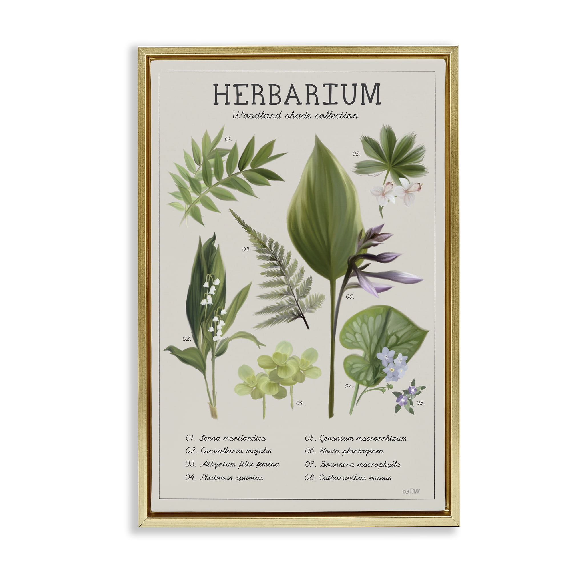 Stupell Industries Herbarium Woodland Shade Collection Gold Framed Floater Canvas Wall Art, design by House Fenway