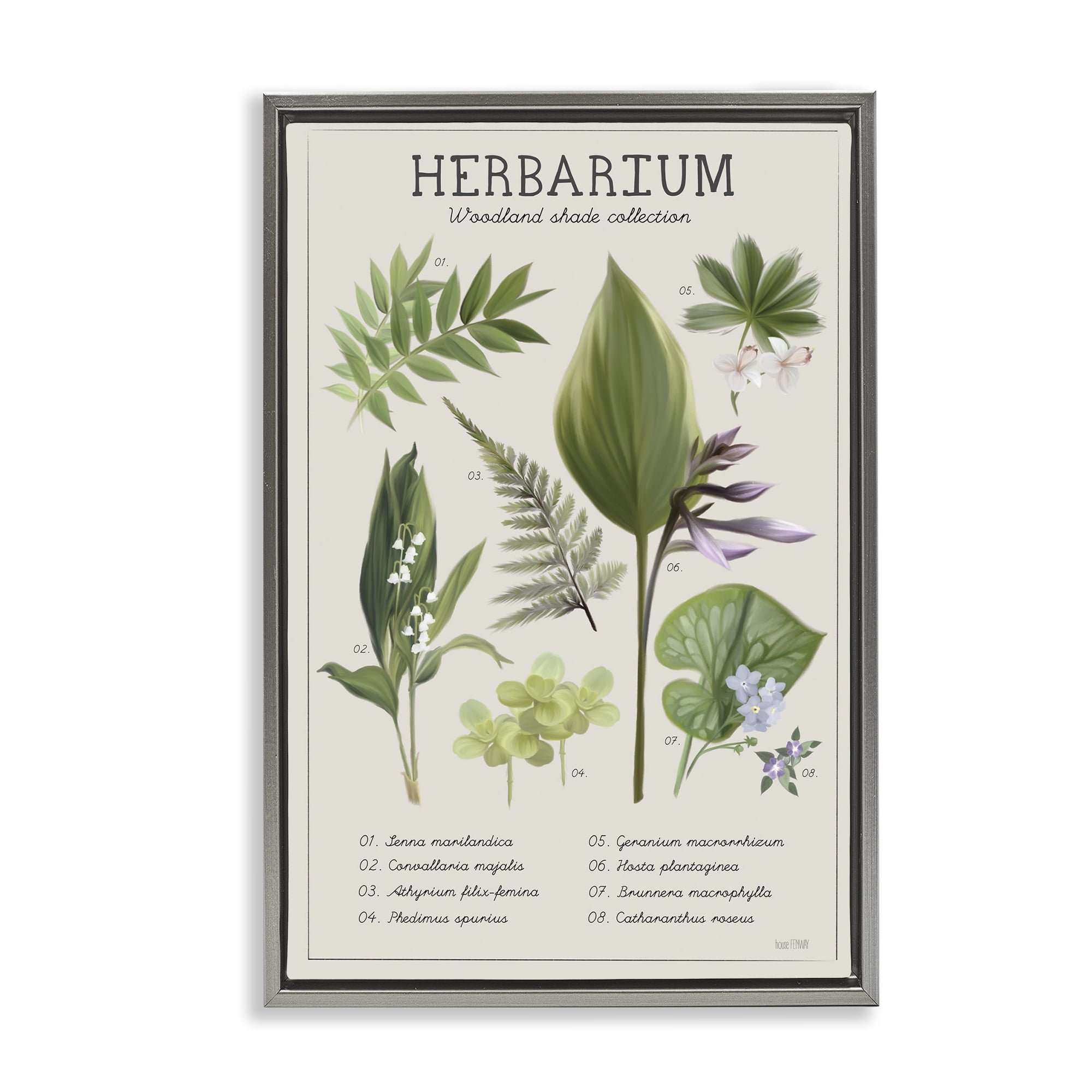 Stupell Industries Herbarium Woodland Shade Collection Gray Framed Floater Canvas Wall Art, design by House Fenway
