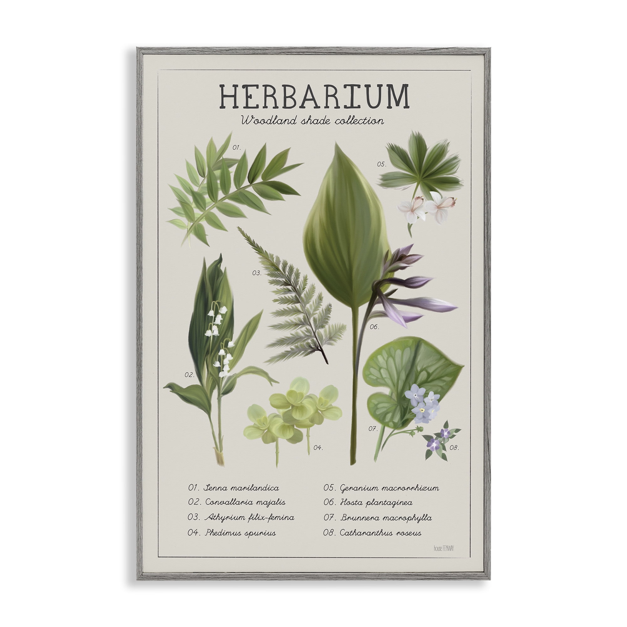 Stupell Industries Herbarium Woodland Shade Collection Gray Framed Giclee Art, design by House Fenway