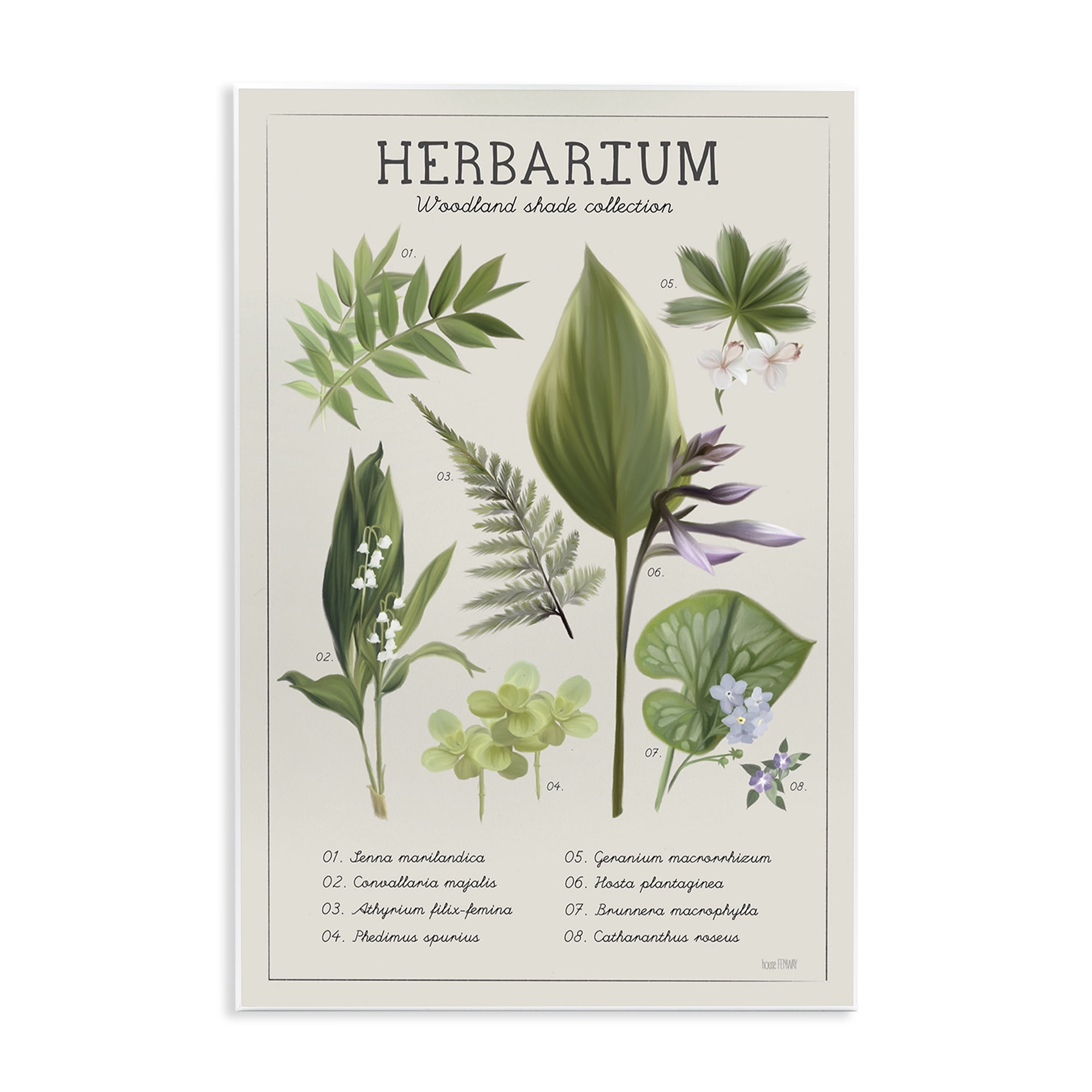 Stupell Industries Herbarium Woodland Shade Collection Wall Plaque Art, design by House Fenway