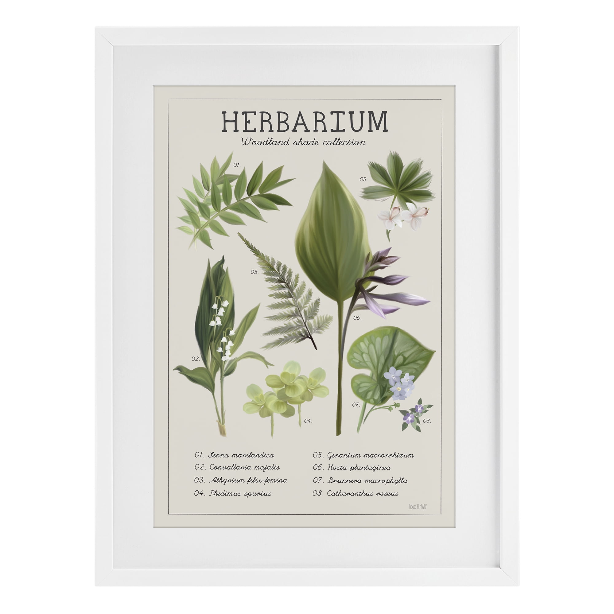 Stupell Industries Herbarium Woodland Shade Collection White Framed Print Under Glass, design by House Fenway