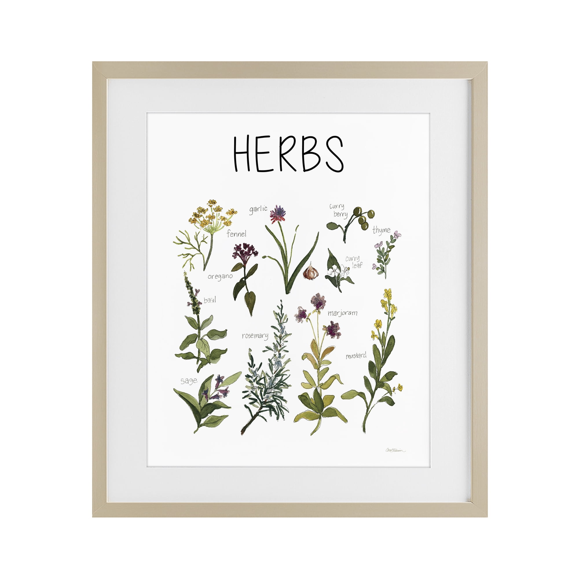 Stupell Industries Herbs Identification Chart Birch Framed Print Under Glass, design by Carol Robinson