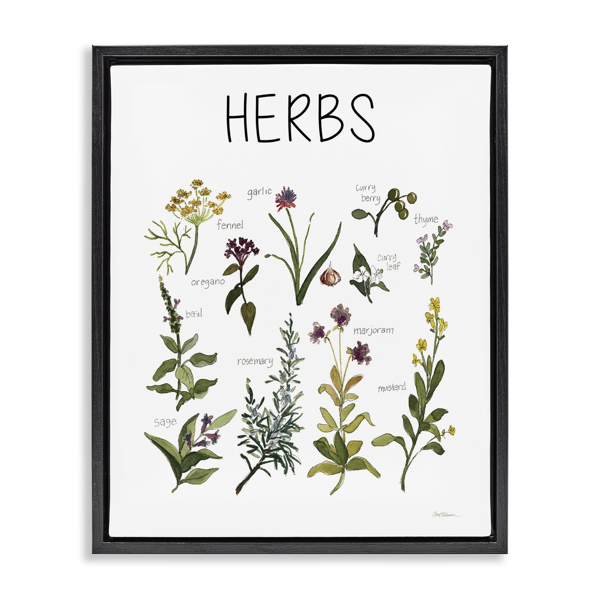 Stupell Industries Herbs Identification Chart Black Framed Floater Canvas Wall Art, design by Carol Robinson