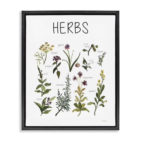 Stupell Industries Traditional Herbs Identification Chart Black Floating Frame Canvas Art, 17 x 21, by Carol Robinson